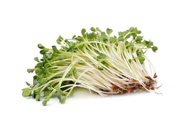 heap of alfalfa sprouts  on white  background