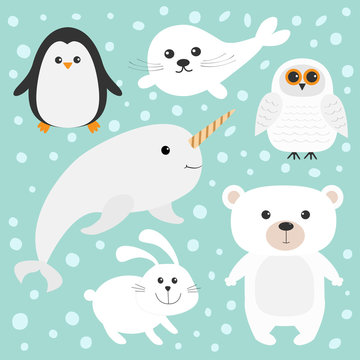 Arctic polar animal set. White bear, owl, penguin, Seal pup baby harp, hare, rabbit, narwhal, unicorn-fish. Kids education cards. Blue background with snow flake. Isolated. Flat design.