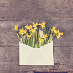 Yellow daffodils in an envelope on the table. Surprise gift.