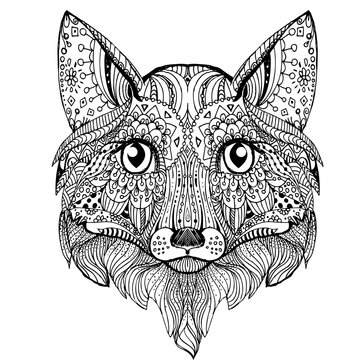 doodle fox