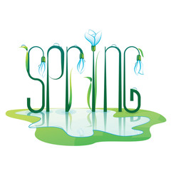 Spring Lettering Design. Color vector illustration.