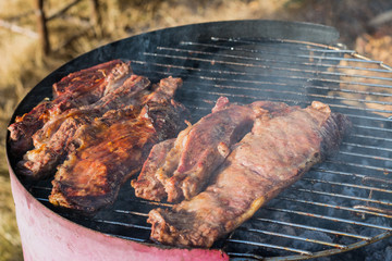 Closeup of grilled meat in the barbecue outdoors