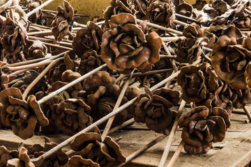 Schmiede Metall Rosen