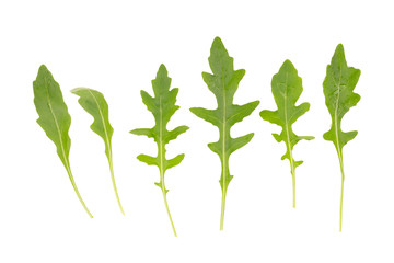 fresh wild rocket rucola leaves on white background