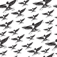Vintage elegant seamless pattern with black Swallows on white background.