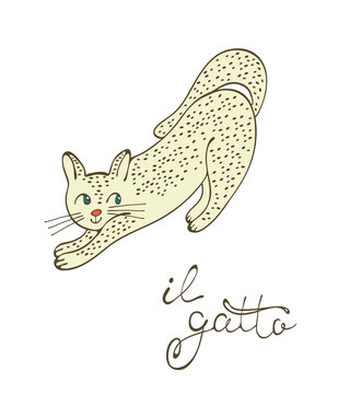 Cute cat character illustration with italian lettering of cat word , Il gatto means cat in Italian