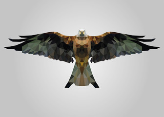 Fototapeta premium Eagle bird flying free with wide open wings and looking vector