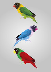Green colorful parrot bird waiting and looking vector