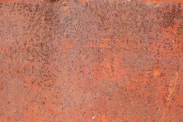 A background of peeling paint and rusty old metal