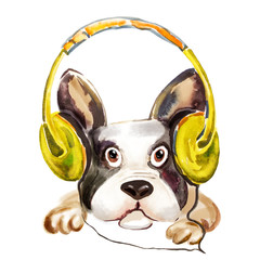 Watercolor close up portrait of a dog, bulldog in headphones - 105530363