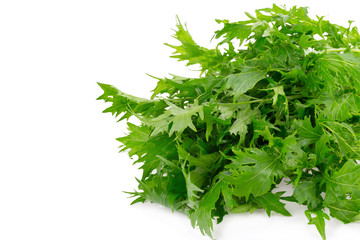 Mizuna greens on white background