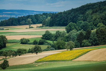 Beautiful alpine landscape