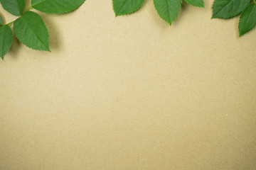 green leaves on brown craft paper for natural concept background

