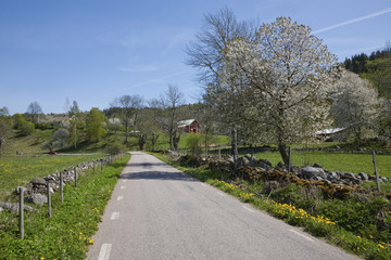 Country road