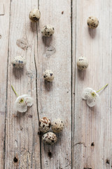 Quail eggs on wooden background