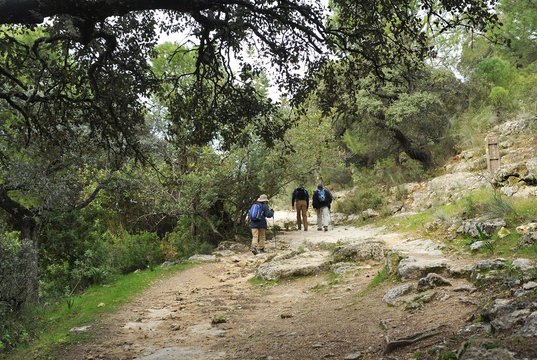 Camino moz&aacute;rabe de Santiago, senderismo en la Sierra de C&oacute;rdoba, Espa&ntilde;a 