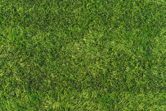 artificial turf / artificial grass