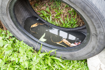 Used tires potentially store stagnant water and mosquitoes breeding ground