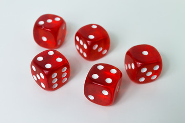 Rote Würfel vor weißem Hintergrund