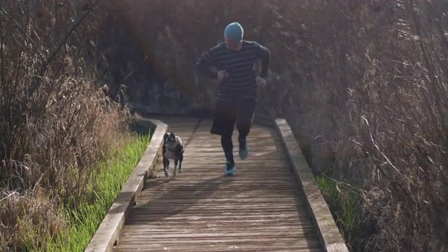 Young Man and Boston Terrier Dog Jogging Up Nature Boardwalk