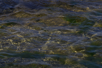The seabed algae through the water