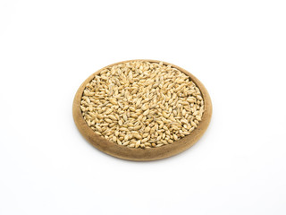 Beer ingredient, isolated Pale ale malt on white background