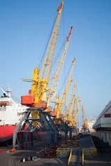 Cranes in the port