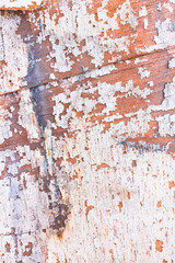 Piece of old painted boat