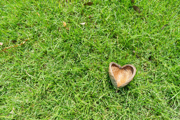 fruit shell look like heart on grass background
