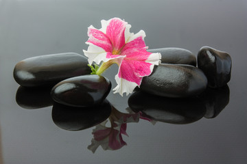 Spa with black stones