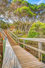 Obraz premium Wooden stairs in the tropical forest to Ben Boyds Tower close to Eden in Merimbula Sapphire Coast,NSW Australia. Tower is located at Red Point, on the southern headland of Twofold Bay.