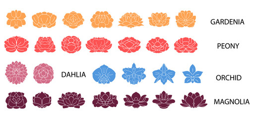 Dahlia, magnolia, orchid, gardenia, peony flower colorful collec