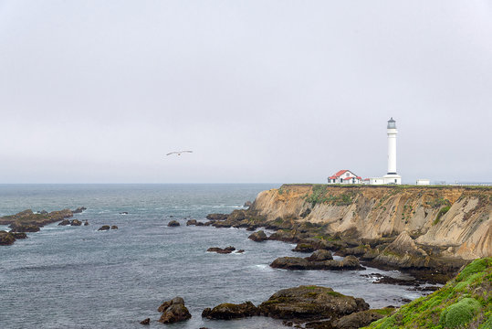 lighthouse on the coast of the Pacific