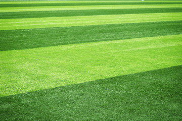 soccer field