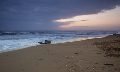 Sunrise of the caribean beach,landscape,Costa rica
