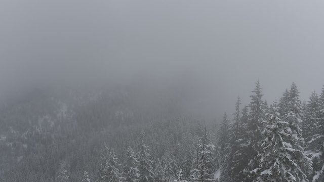 Chmury nad lasem w Tatrach