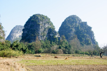 The beautiful mountains scenery