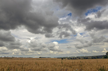 Dark storm clouds over the fields