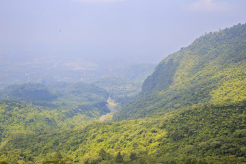Aerial View Tropical Forest