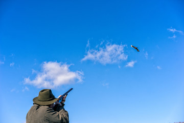 Hunter is shooting at a Pheasant. Close view.
