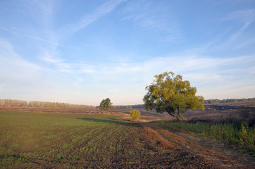 Autumn countryside landscape