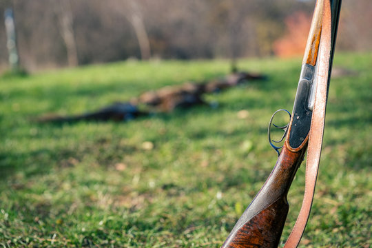 Detail view of hunting rifle in front of dead pheasants.