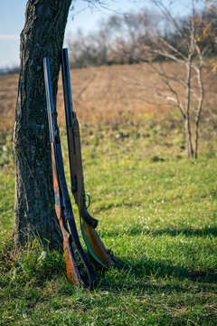 Vertical view of hunting rifles.
