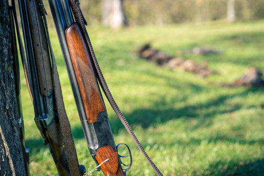Detail view of hunting rifle in front of dead pheasants.