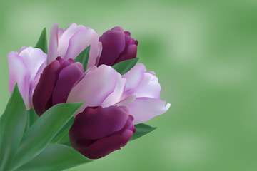 Obraz premium Bouquet of puple tulips
