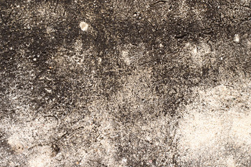 white concrete wall texture