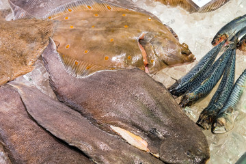 Fresh fish on ice for sale at a market