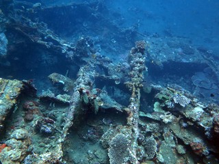 Fototapeta na wymiar Unterwasser