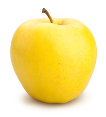 yellow apples