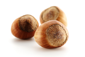 hazelnuts 